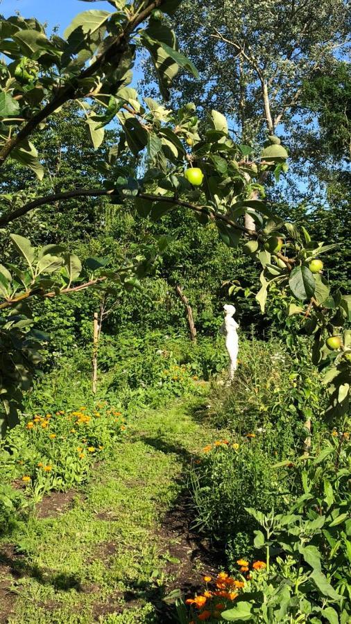 Het Kunstenaarshuis Kamperland Bagian luar foto