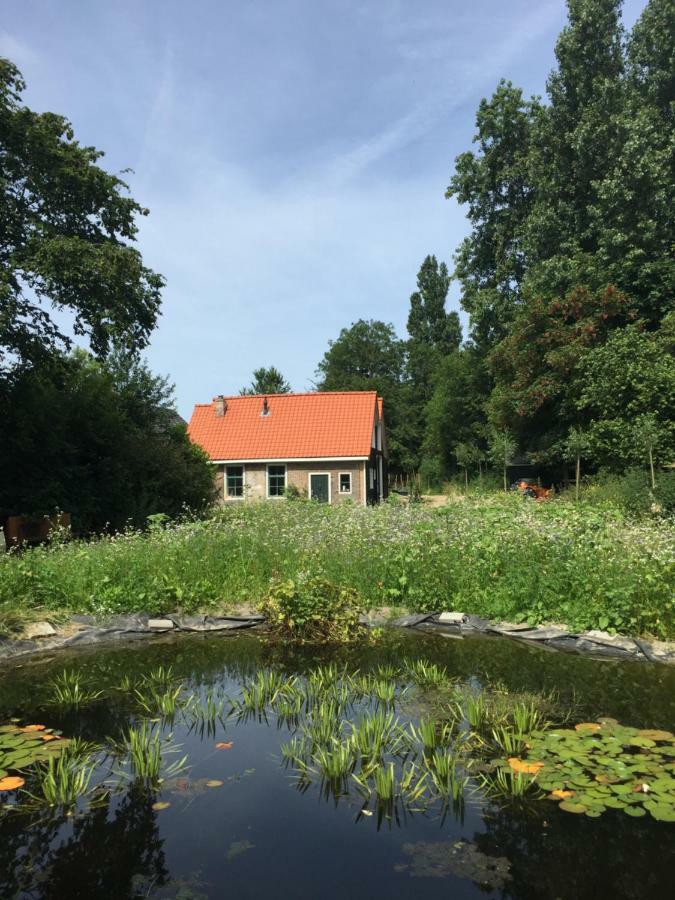Het Kunstenaarshuis Kamperland Bagian luar foto