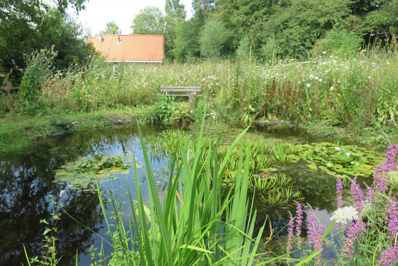 Het Kunstenaarshuis Kamperland Bagian luar foto